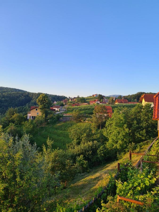 Villa Zidanica Muhic Dolenjske Toplice Exterior foto